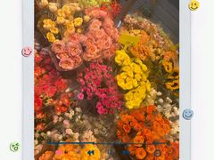 -循礼门鲜花花市(武汉循礼门店)