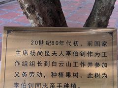 -广州神农草堂中医药博物馆