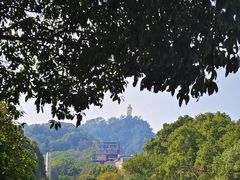 -南山植物园