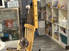 -楼上猫咖(罗湖店)