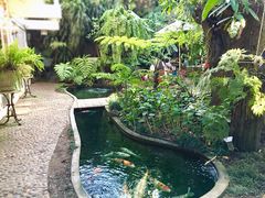 -Fern Forest Cafe