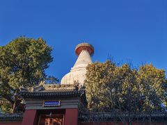 -妙应寺白塔