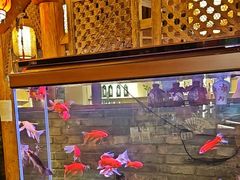 -来小酌·长安酒家(翠庭大厦店)