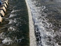 -洨河生态公园