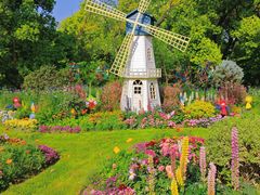 -上海共青森林公园