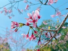 -花都广场