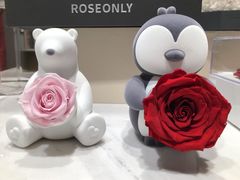 -ROSEONLY诺誓(磐基中心店)