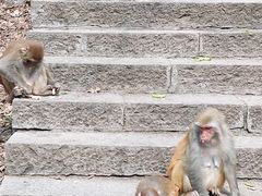 -黔灵山公园