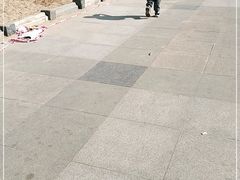 -晓港公园