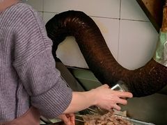 -豪香里脊肉串(大中路店)