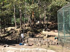 -哈尔滨北方森林动物园