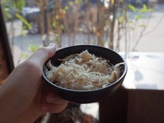 -豆逗聊愈猫阁Easy Life