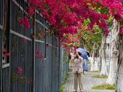 -东莞植物园