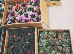 -海云庵农贸市场