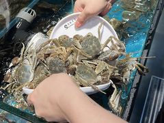 -苏格里岛自助烤肉海鲜火锅(成都金牛万达店)