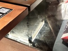 -同仁四季椰子鸡(宝安壹方城店)