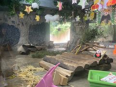 -海南热带野生动植物园