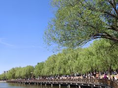 -二一九公园