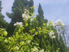 -白塘生态植物园