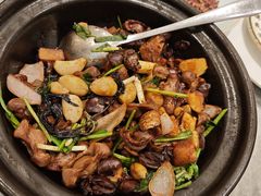 -朱记乳鸽王·非遗石岐乳鸽·全鸽宴(大兴旗舰店)