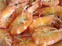 -叶存利海鲜大馅饺子(东戴河止锚湾店)