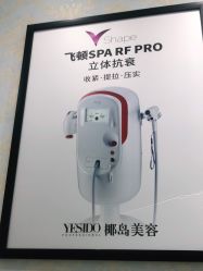 -YESIDO椰岛造型