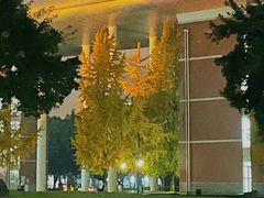 -四川大学(望江校区)