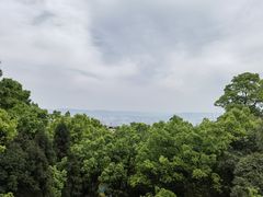 -南山植物园