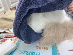 -伟伟宠物医院·CT影像中心·瑞派犬猫综合性门诊(汉口总院)