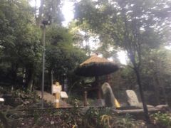 -花水湾第一村温泉大酒店