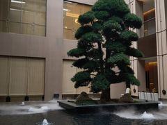 大堂-外滩·云南人家(昆明旗舰店)