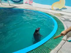 -北戴河圣蓝海洋公园