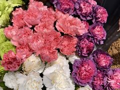 -FEI FEI FLOWER鲜花店·气球派对·宝宝宴布置(虹口德必运动Loft店)