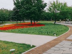 -长春公园(普阳街道)