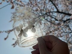 -香山公园