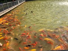 -泰安地下龙宫景区