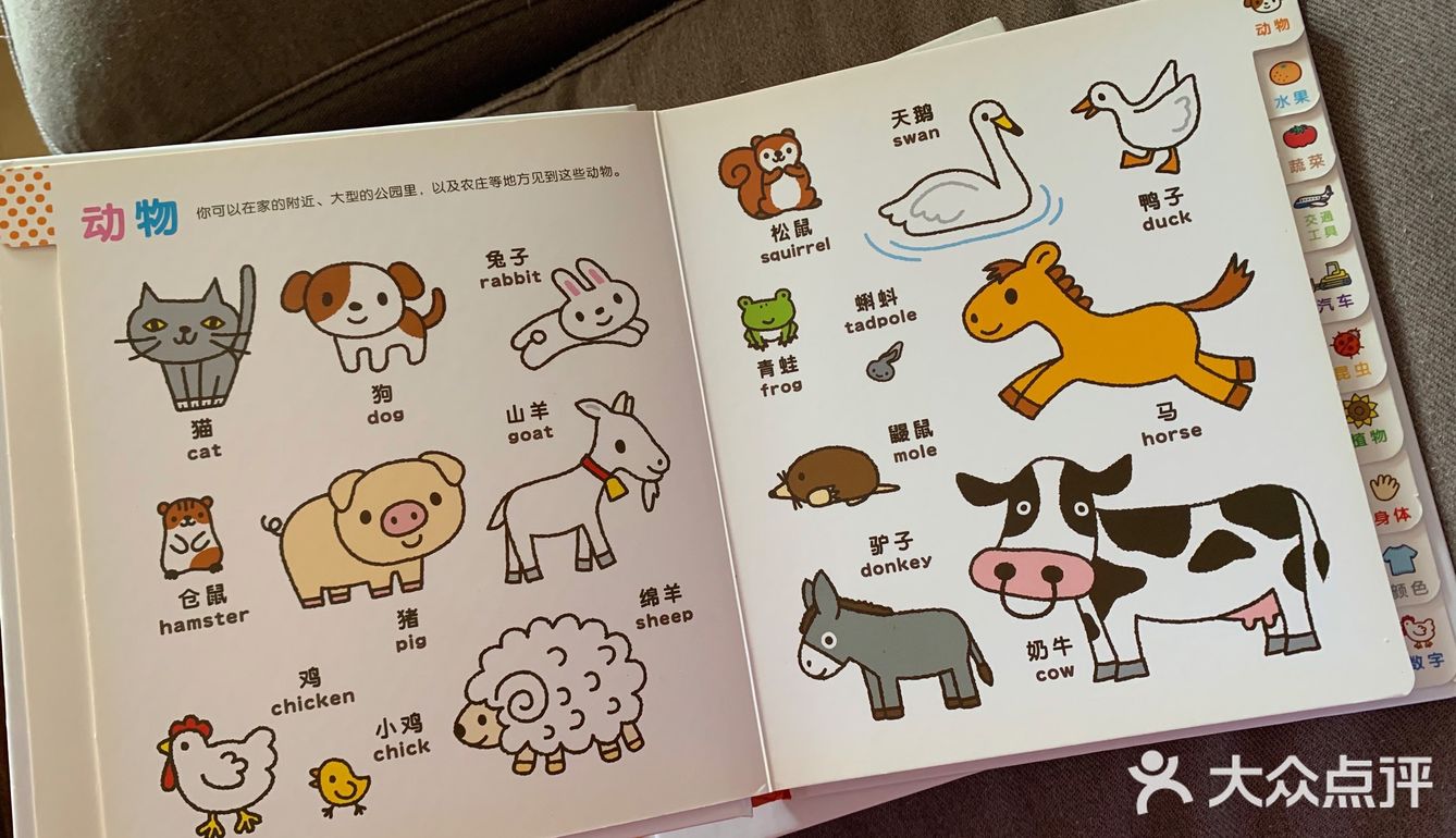 小龄宝宝必入的幼儿认知小百科