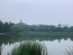 -北坞公园