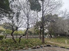 -晓港公园