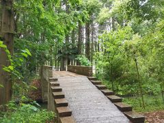 -同里国家湿地公园
