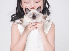 -iF摄影•全家福•证件照•形象照(南山店)