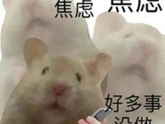 -华为授权体验店(中山公园来福士)