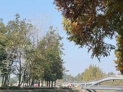 -蜀绣公园