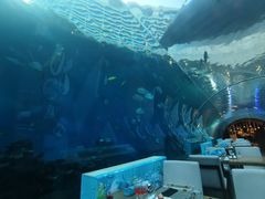 -海棠湾洲际-涛·海底餐厅·美人鱼·自助餐·海底隧道