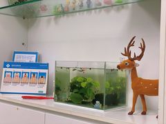 -瑞尔齿科(上海长风大悦城店)