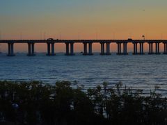 -宝安西湾红树林湿地公园