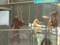 -崖口红树林海鲜餐厅