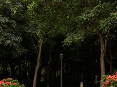 -深圳湾公园(南山区)