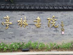 -亭林公园