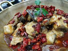 -涿派·炝锅鱼(涿州店)
